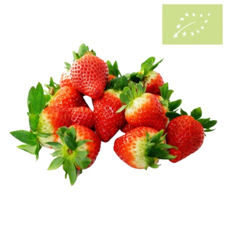 Fresas Bandeja 500g Ecológicas