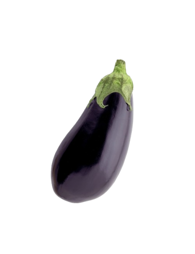 Berenjena NEGRA Ecológica
