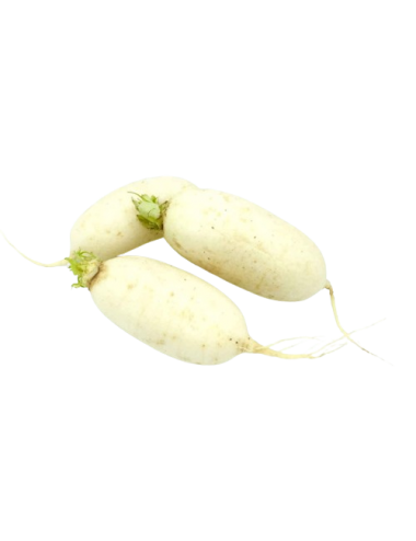Nabo Blanco Ecológico