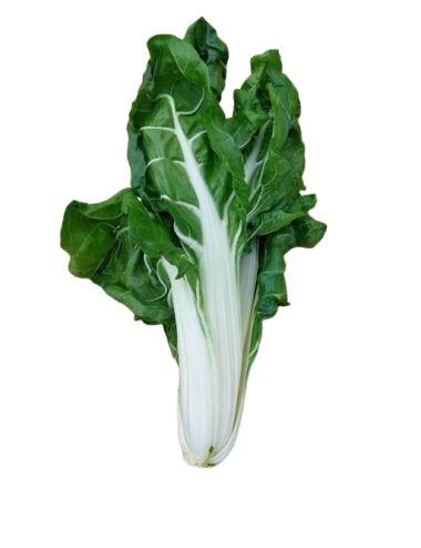 Green chard 0.5 kg bundle...