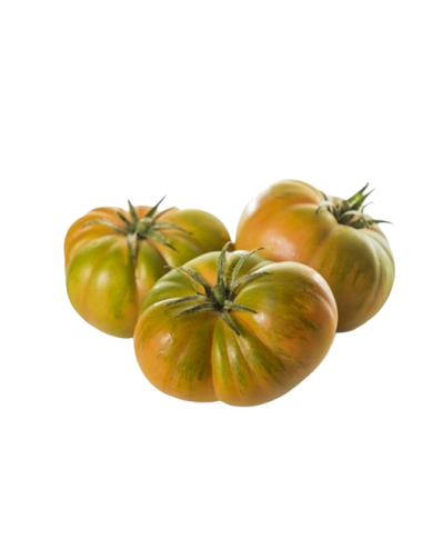 MARMANDE Tomato Organic