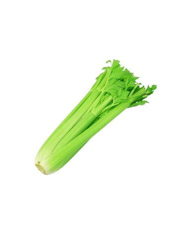 Apio Verde corto unidad...