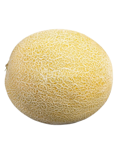 Melon Galia GRANEL Ecológico