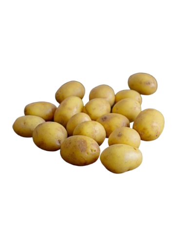 WHITE GUARNITION Potato...