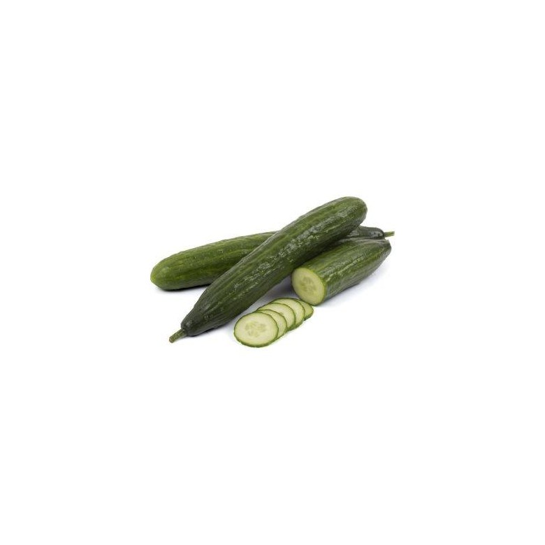 Dutch long cucumber organic